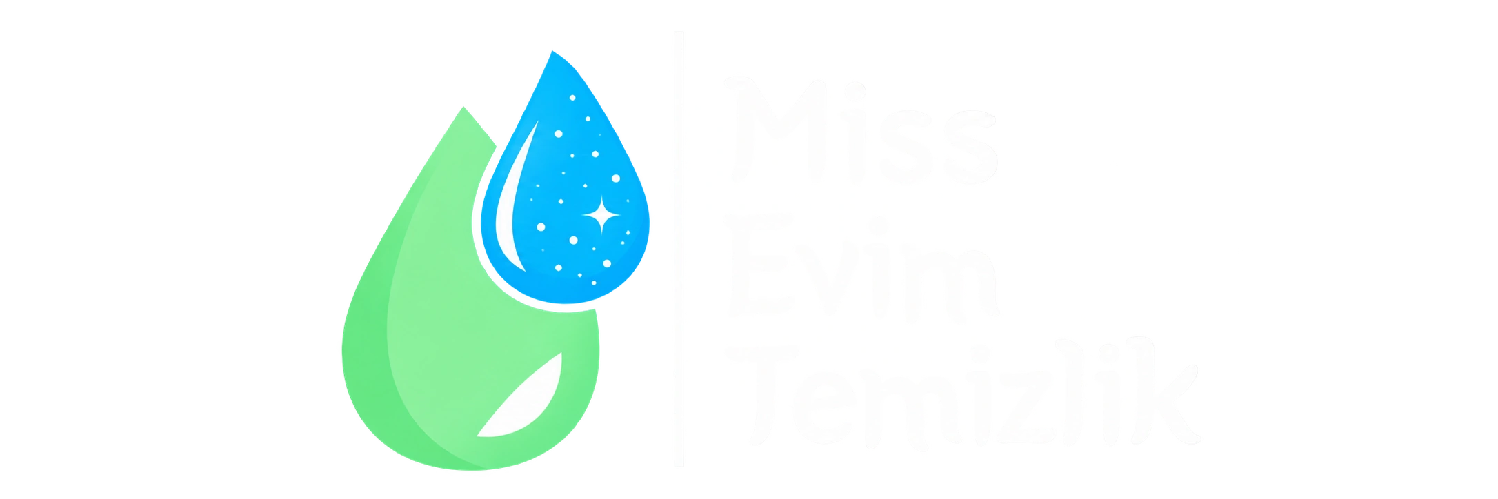 Miss Evim Temizlik